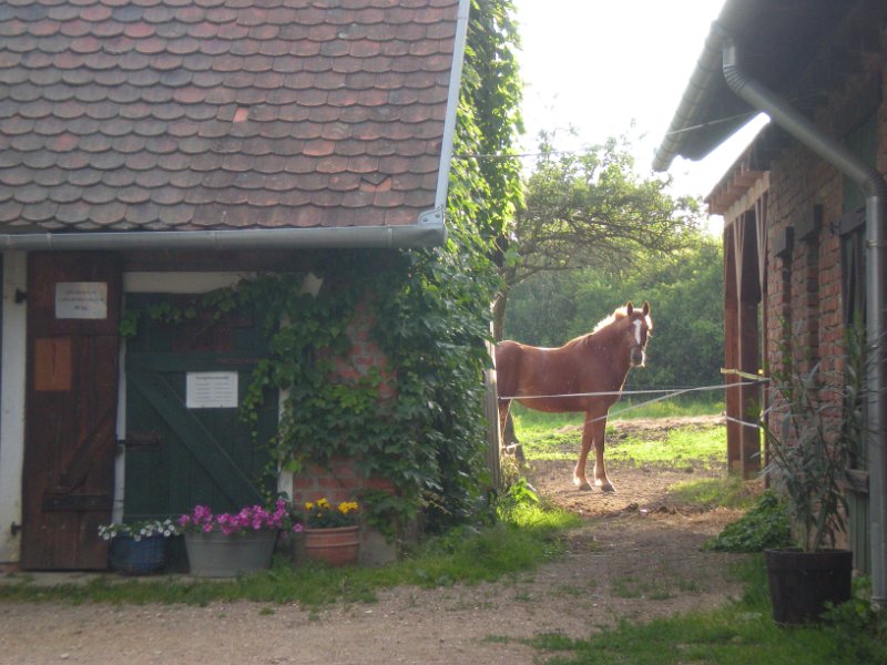 08